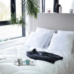 HOME COLLECTION Lot De 4 Oreillers 60x60cm  Blanc -Lit Magique Soldes Magasin home collection lot de 4 oreillers 60x60cm blanc 3153633471222 735662