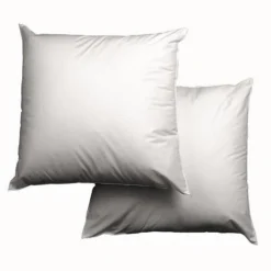 Lot De 2 Oreillers Microfibre 60x60cm -Lit Magique Soldes Magasin lot de 2 oreillers microfibre 60x60cm 3245841493445 461765