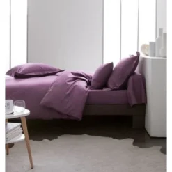 TODAY Drap Plat 100% Coton - 240x300 Cm - Figue